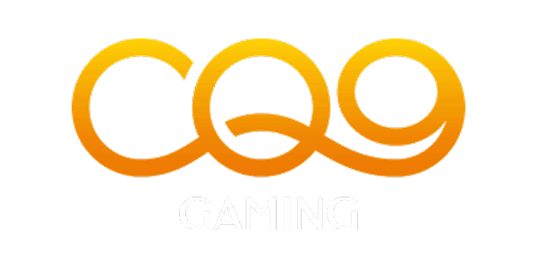 วีซ่า logo